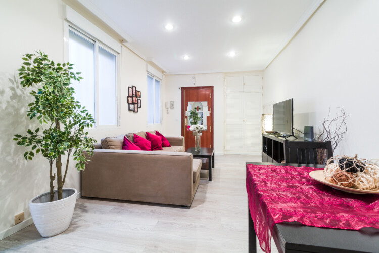 Alquiler de pisos y habitaciones por meses en la calle de la Hortaleza, Madrid